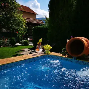 Pensiune Zigen House, Bansko